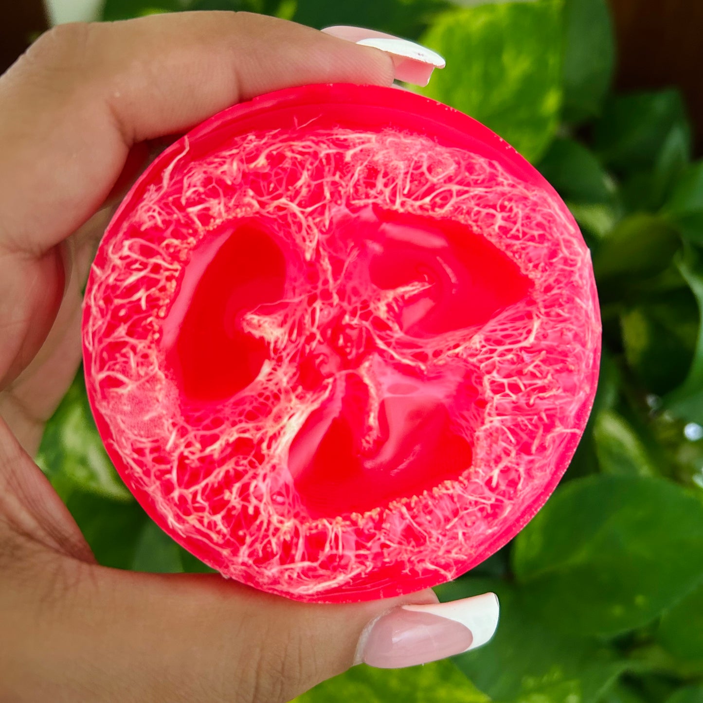 Juicy Guava Nectar & Sunlit Orchid 48 Loofah Soap