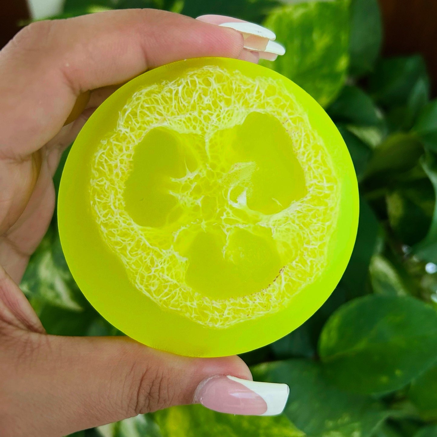 Summer Radiance 87 Loofah Soap