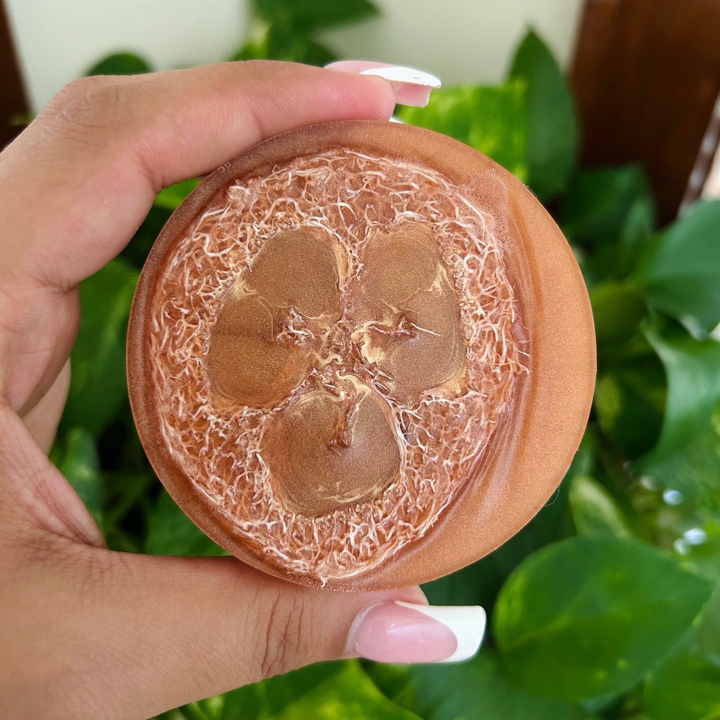 Caramelized Vanilla Macadamia 71 Loofah Soap