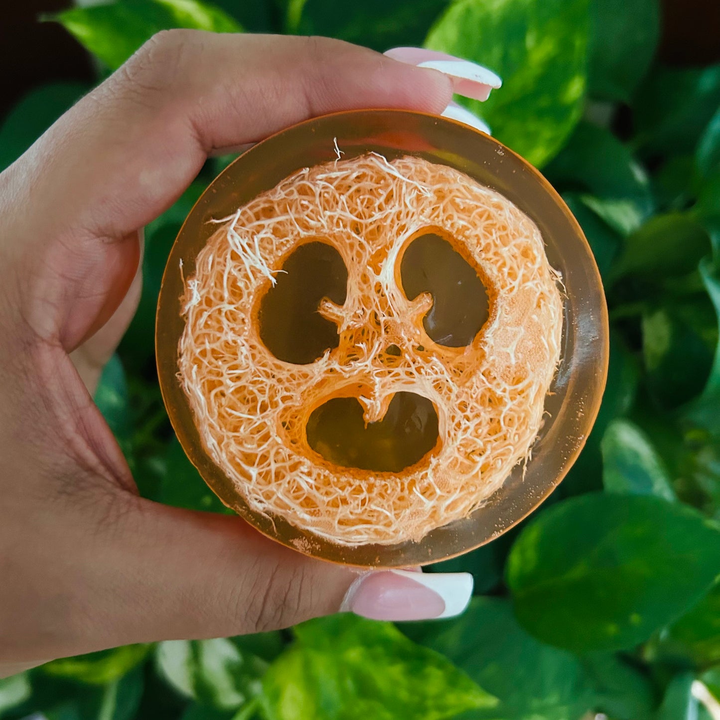 Georgia Peach Loofah Soap