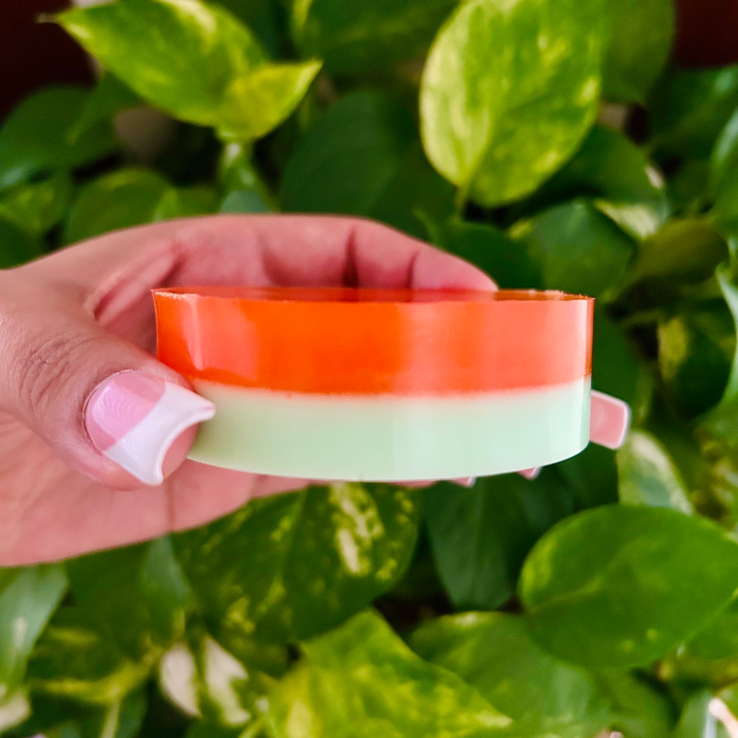 Watermelon Loofah Soap