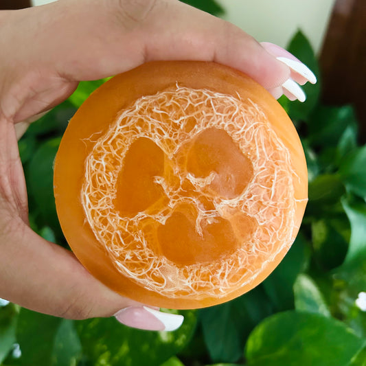 Mango Coconut Loofah Soap