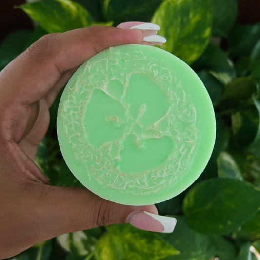 Coconut Lime Loofah Soap