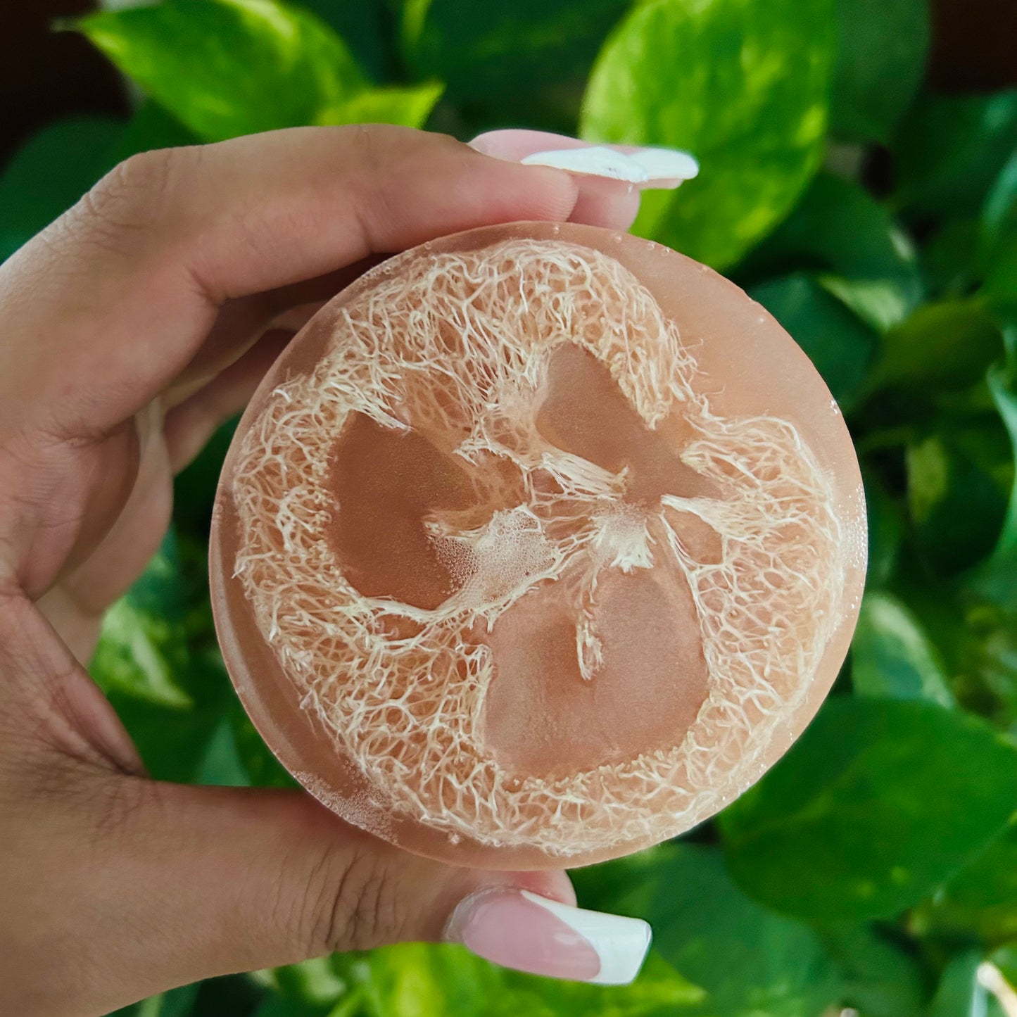 Coconut Loofah Soap