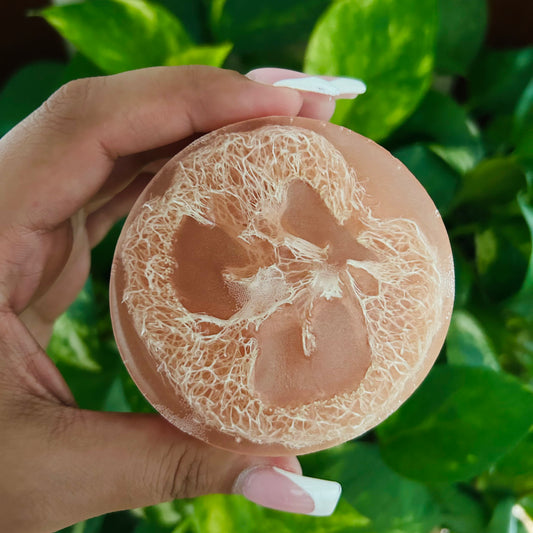 Coconut Loofah Soap
