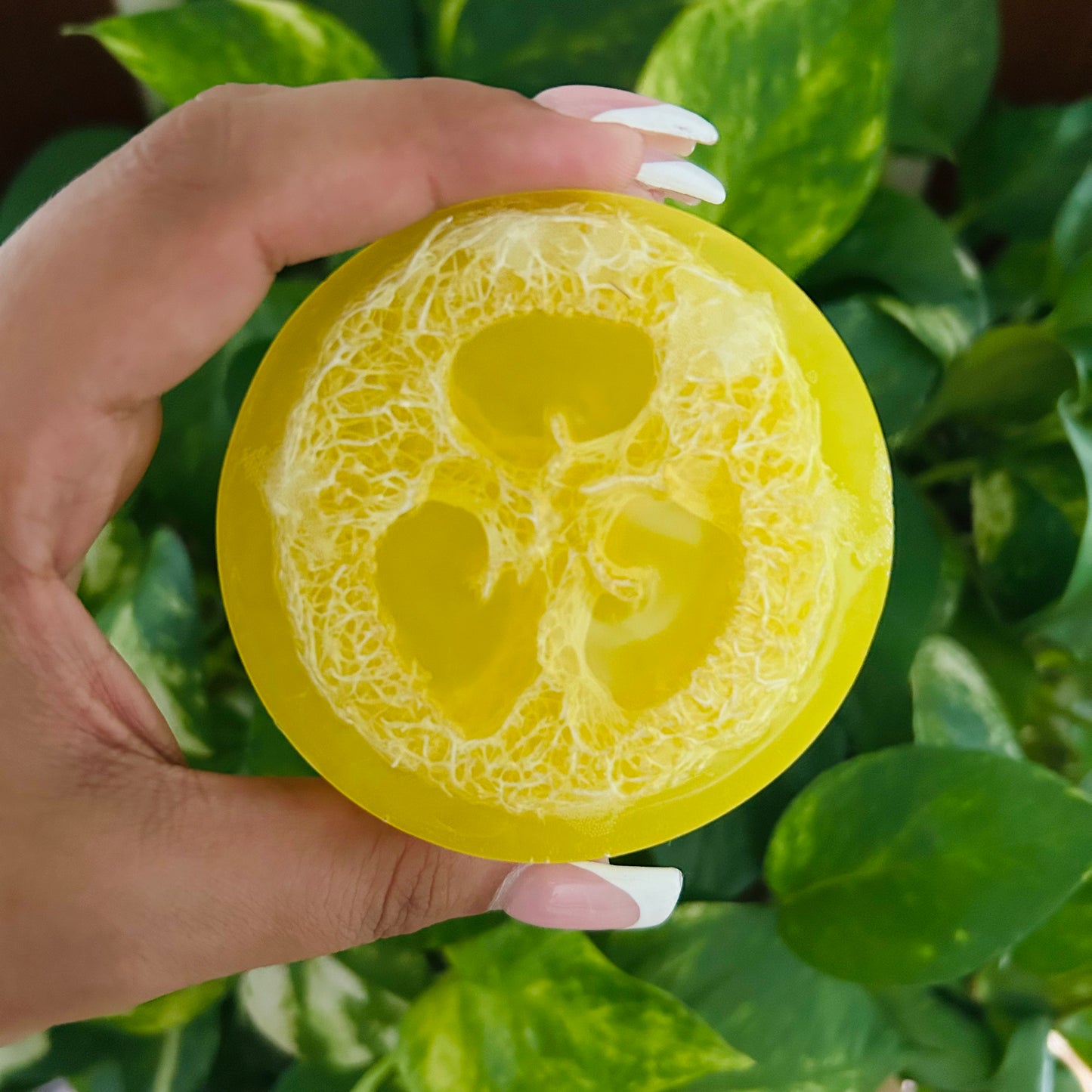 Pineapple Loofah Soap